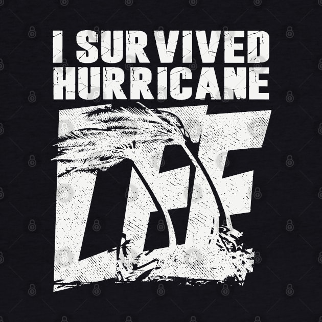 I Survived Hurricane Lee by Etopix